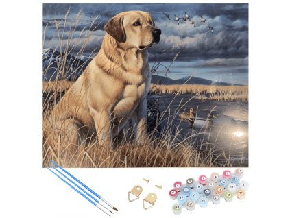 Očarljivo slikanje po številkah - labradorec