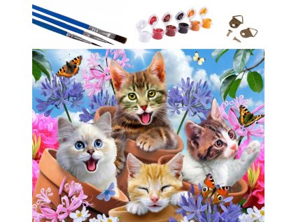 Očarljivo slikanje po številkah - mačke