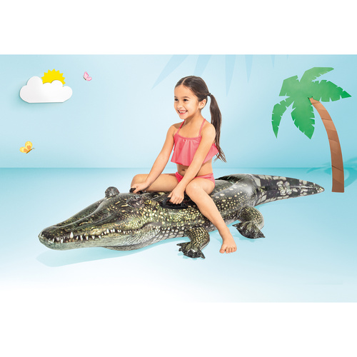 krokodil a vízben