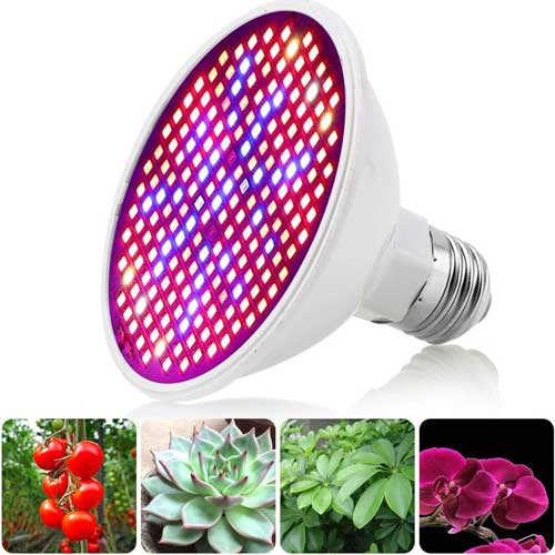 unique-led-light-for-plants