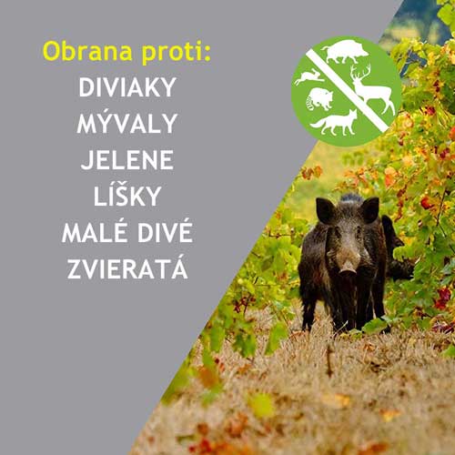 Unikalny, solarny odstraszacz dzikich zwierząt