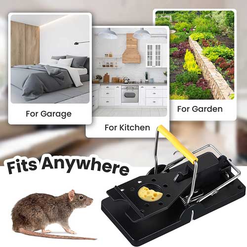 high-sensitivity-mouse-trap