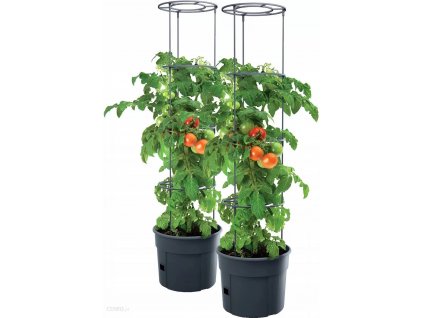 kvetinac na pestovanie paradajok 2x