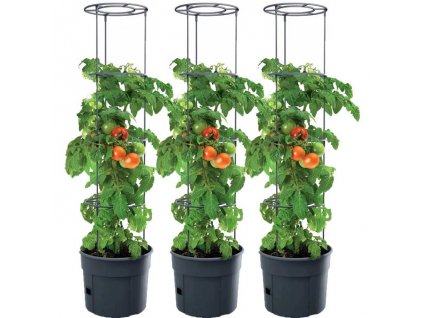 kvetinac na pestovanie paradajok 3x