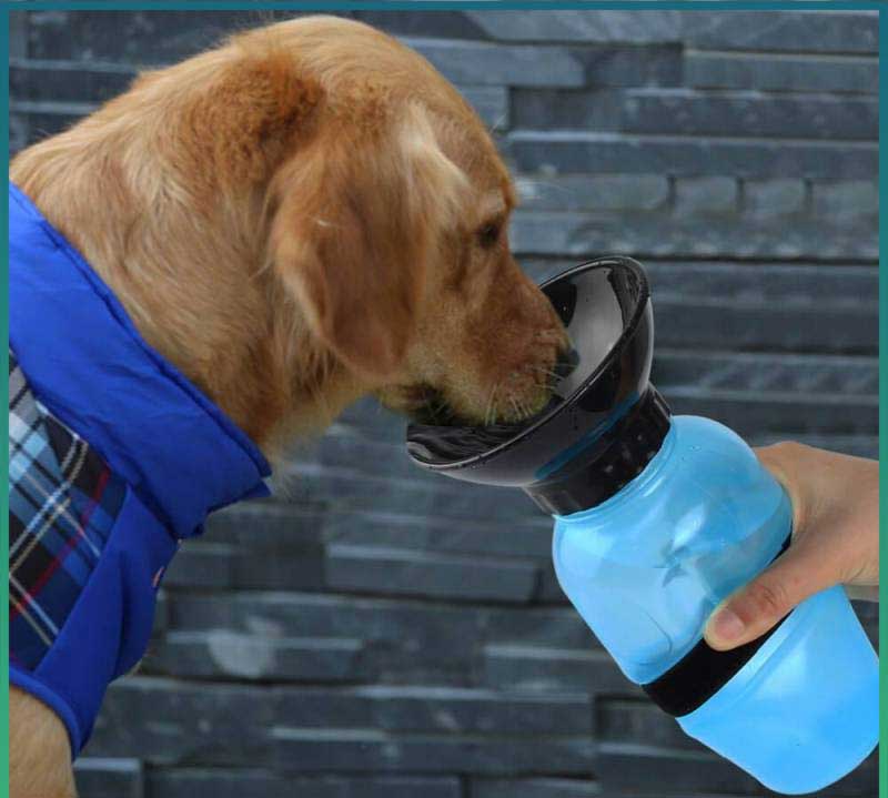 Deminas | Cestovná fľaša pre psov