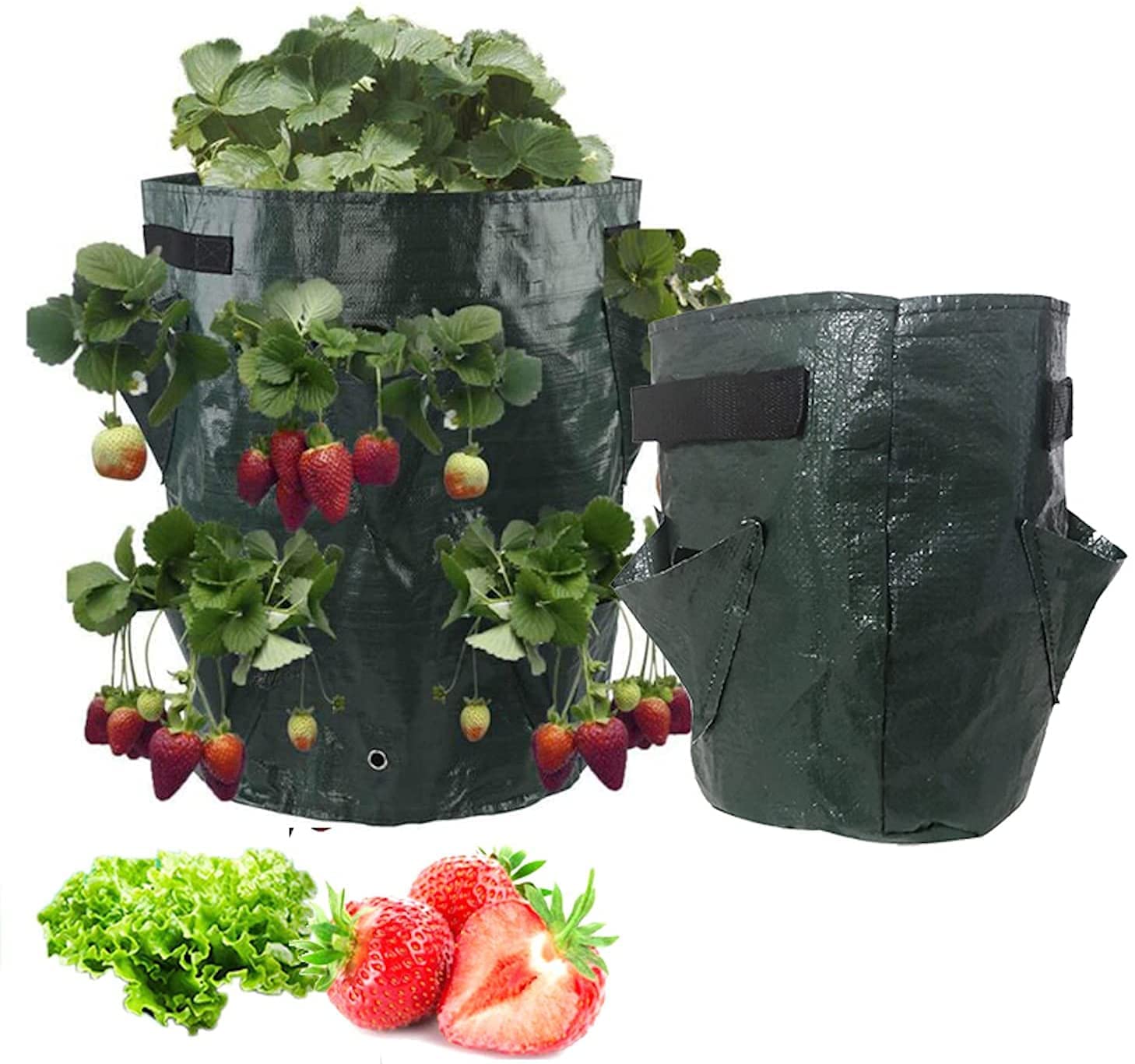 Deminas | Pestovateľské vrece na pestovanie jahôd