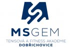 Tenisová a fitness akademie DOBŘICHOVICE