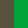 khaki zelená gecko
