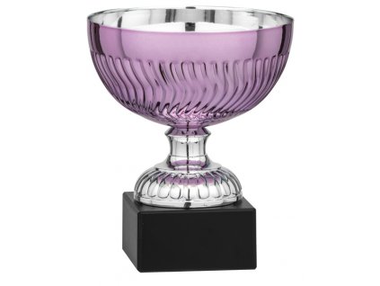 Športová trofej 2404