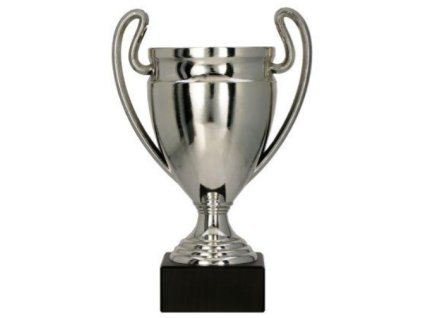 Športová trofej Pohár 8378