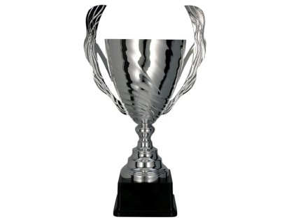 Športová trofej Pohár 2101