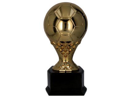 Trofej Fotbal RP2020