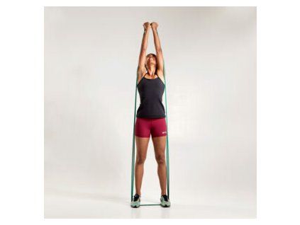 Band long FLEXVIT Revolve basic - silná