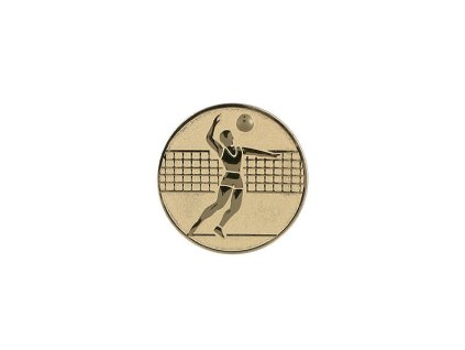 Emblém D1 malý - Volejbal strieborná