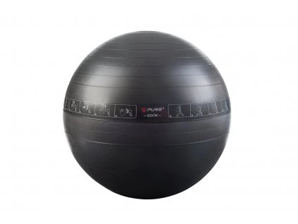 Fit lopta s cvikmi  65 cm čierna