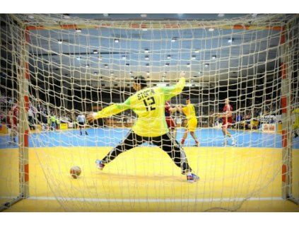 42148 sportova siet 3 x 2 m hexagonal