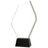 Sklenená trofej C069 (Veľkosť trofej 29 cm)