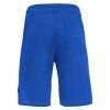 108300 2 macron basketbalove trenky oxide hero modra