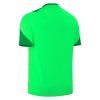 111743 macron dres golem neon zelena