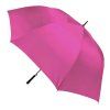 dazdnik fuchsia