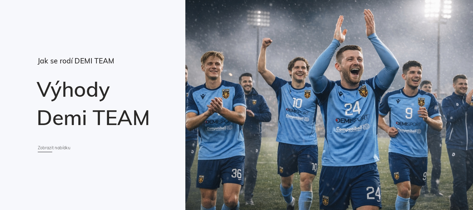 VyhodyDemiteamCZ