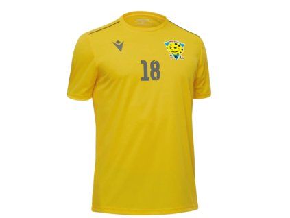 Remove bg.ai 1731605758366