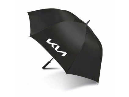 128734 1 dazdnik print