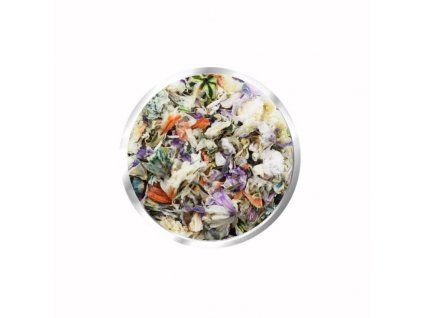 Dried Flowers 5