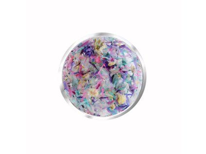 Dried Flowers 8