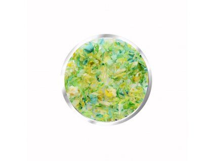 Hoa khô Nail Art 9