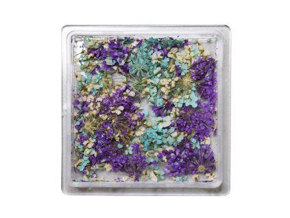 Getrocknete Blüten 16