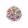 Dried Flowers 6