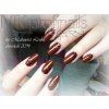 Chocolate  UV LED Barevný gel