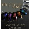 Chameleon CAT EYE SATURN  Pigmenty
