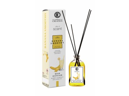 90119 Banana Smoothy