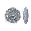 HOLOGRAPHIC Flake Silver
