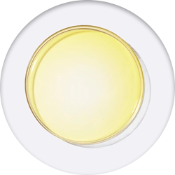 Panthenol