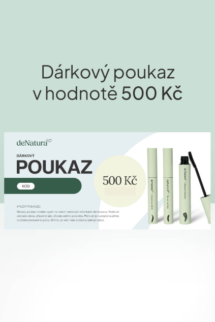 darkovy poukaz 500 CZ
