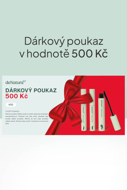 vanocni darkovy poukaz 500 CZ