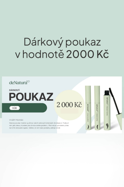 darkovy poukaz 2000 CZ