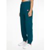 Tepláky - TJW RELAXED HRS BADGE SWEATPANT modré