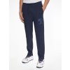 Tepláky - TJM COLLEGIATE BAXTER SWEATPANT modré