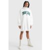 Šaty - TJW COLLEGIATE LOGO HOODIE DRESS modré