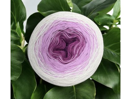 Photoroom 20250808 144055