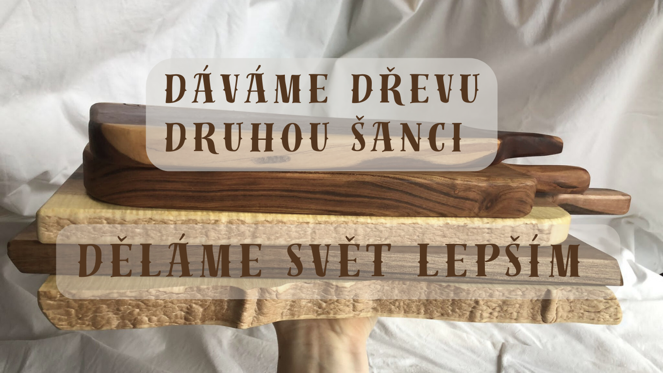 Dáváme dřevu druhou šanci