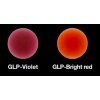 Gradia Plus Gum Shades (Variant Gradia Plus GLP Violet 0,8 ml)