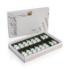 Initial Zirconia Coloring set 01