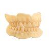 Imprimo LC Try In Modell gerade 6542