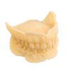 Imprimo LC Try In Modell schraeg 6542