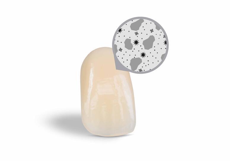 physiostar-nfc-upper-crop-0001-kopie_2
